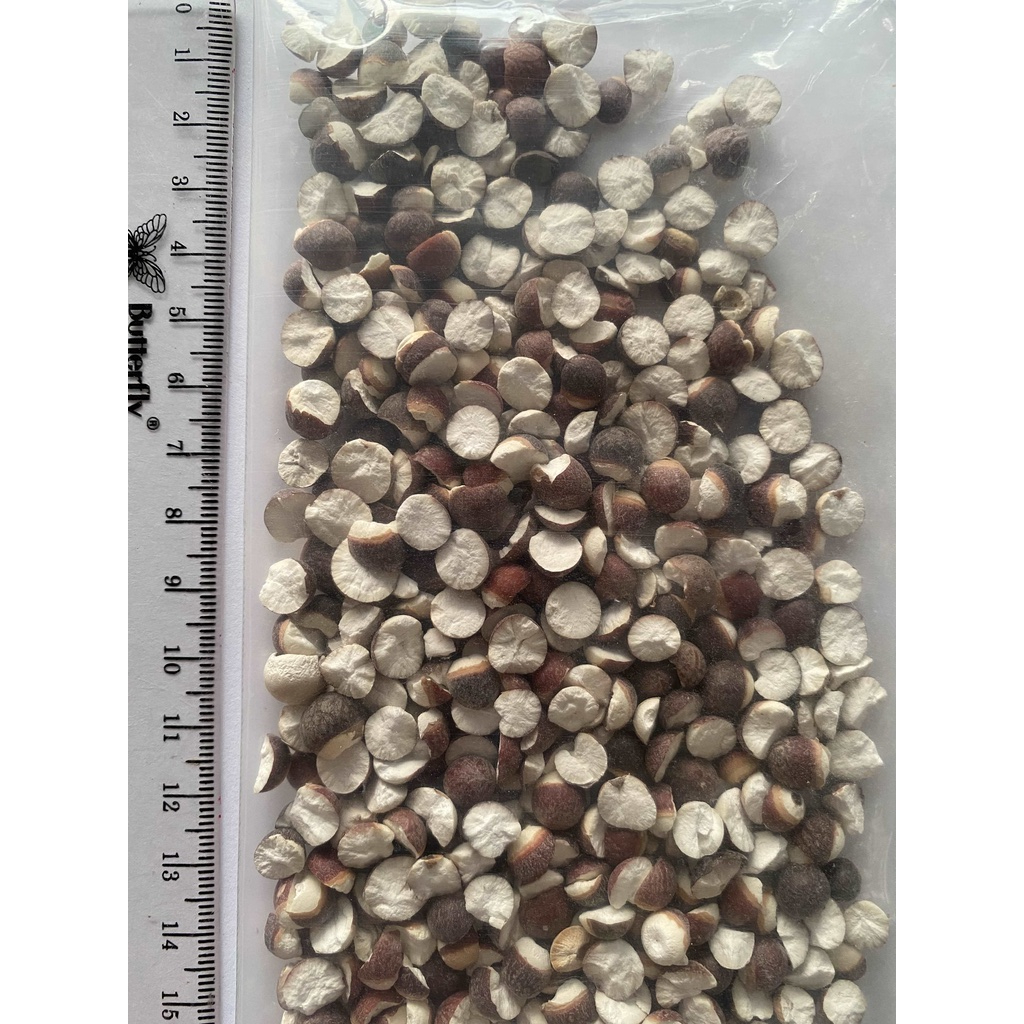 

Kiam Sit / Qian Shi / Euryale Seed / 芡实 100 gram