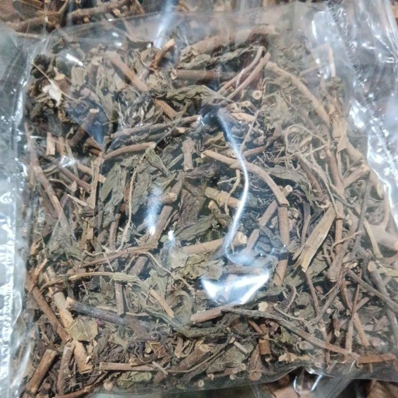 

Daun Kumis Kucing Kering Herbal Grosir