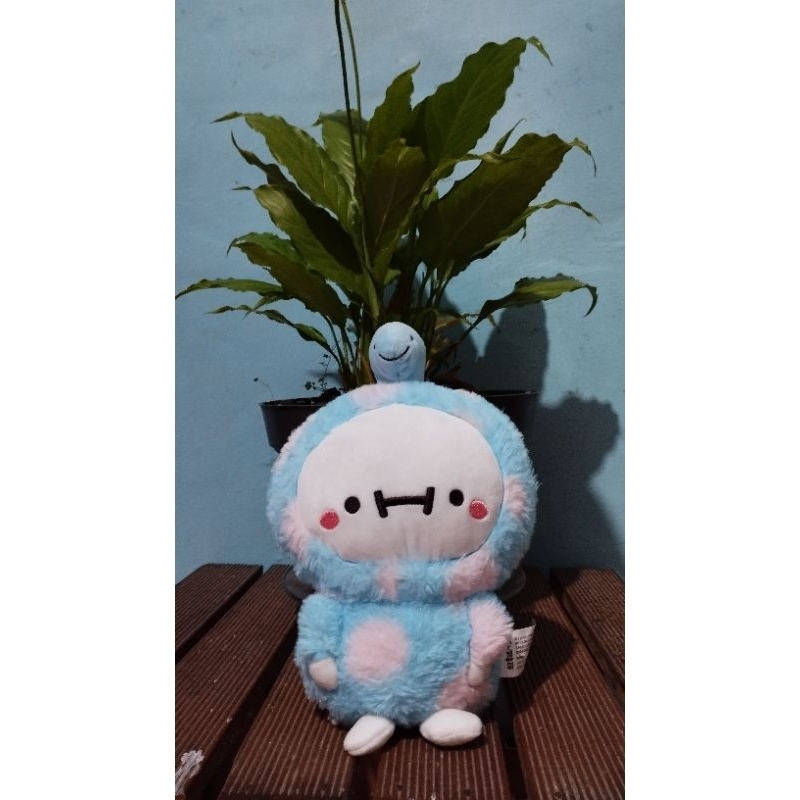 Boneka Budding Kostum Biru