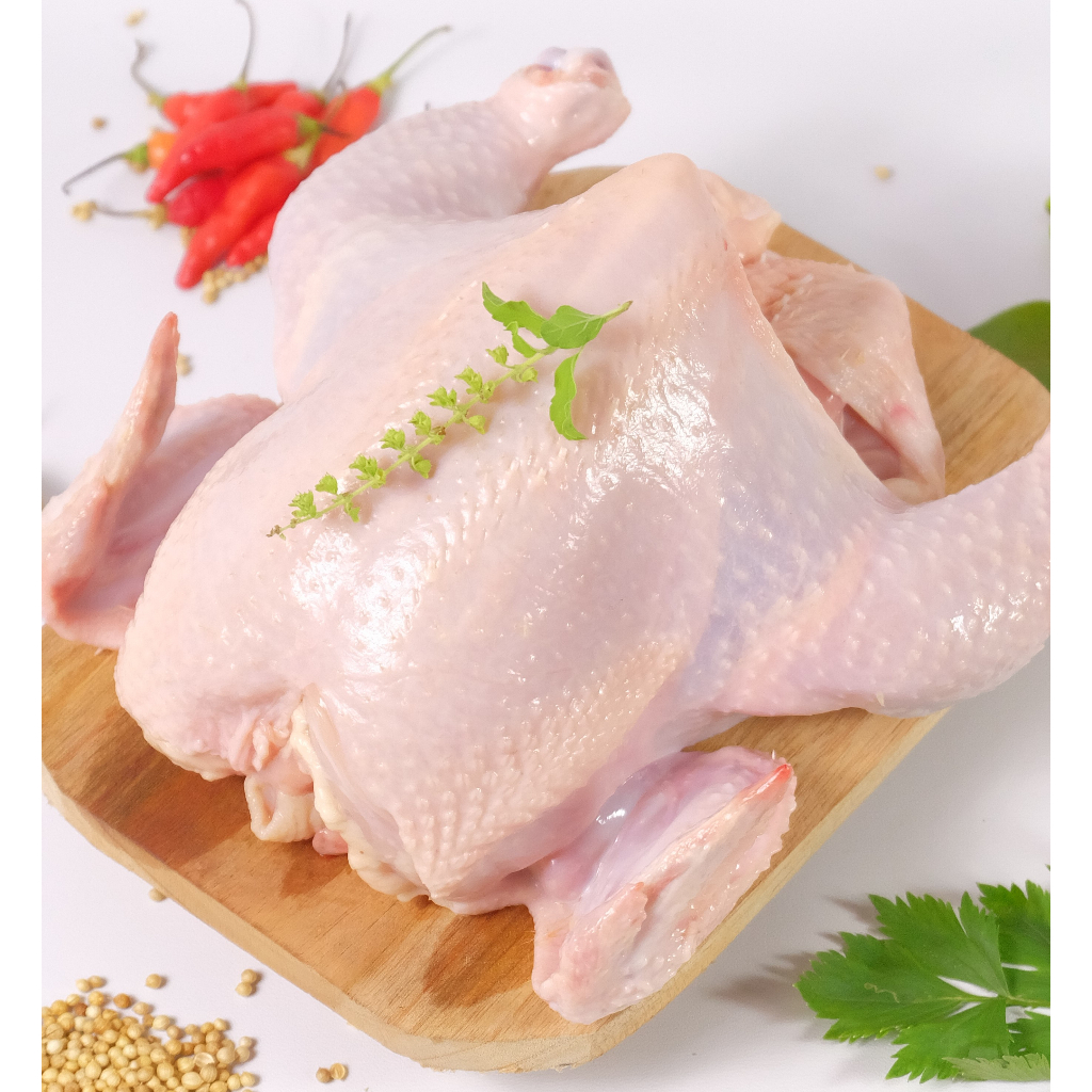 

Ayam Broiler 0,8 - 0,9 kg