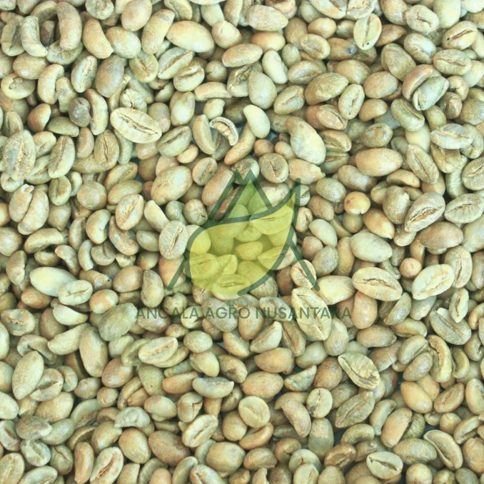 

Green Bean Robusta Kopi Grade 1