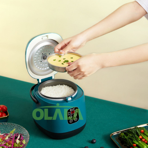 RICE COOKER PENANAK NASI PORTABLE ANTI LENGKET TRAVEL VERSION RICE COOKER MINI 0.8L OLL-888