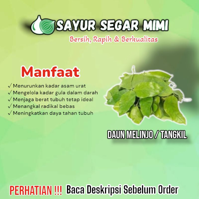 

Daun Melinjo/Daun Tangkil - Sᴀʏᴜʀ Sᴇɢᴀʀ ♏ɪᴍɪ