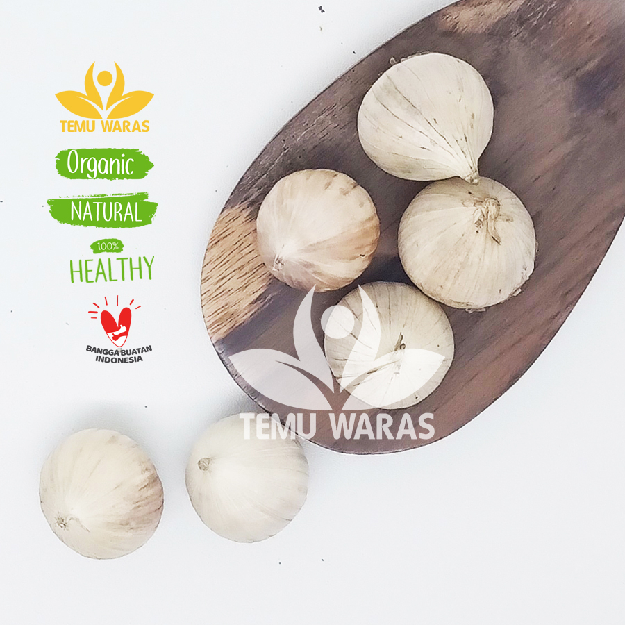 

Bawang Tunggal 50gr atau Bawang Lanang Organik Asli Gunung