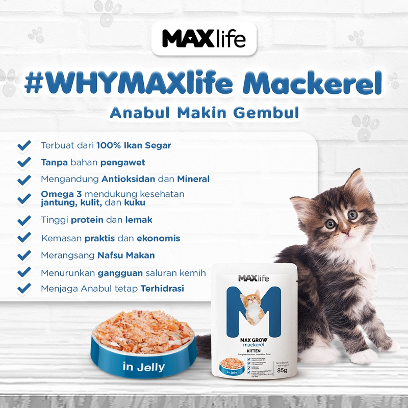 MAXLife Adult Cat/ Kitten 85 gr Sachet