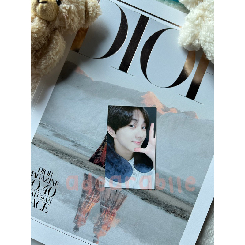 Photocard Jungwon NeckPillow