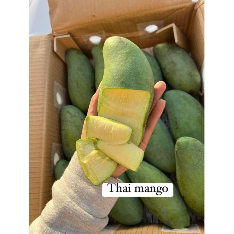 

Thai.mango.kiojay.super.premium.segar.berkulaitas
