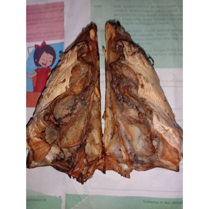 

Kepala Ikan Manyung Asap Super Jumbo Setangkup (-+1½kg)