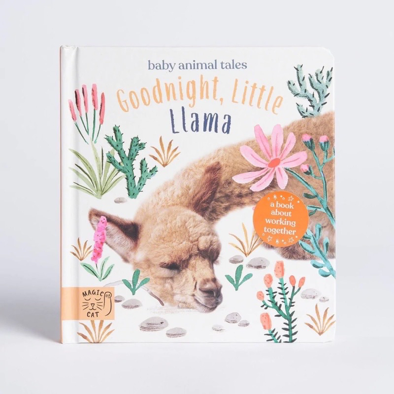 Preloved Buku Anak Children Book Goodnight, Little Llama