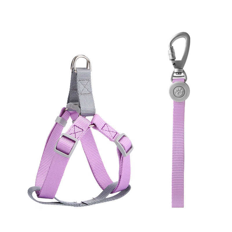 Kiyopet korea pastel H harness set