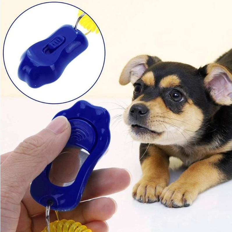 Pet clicker training dog