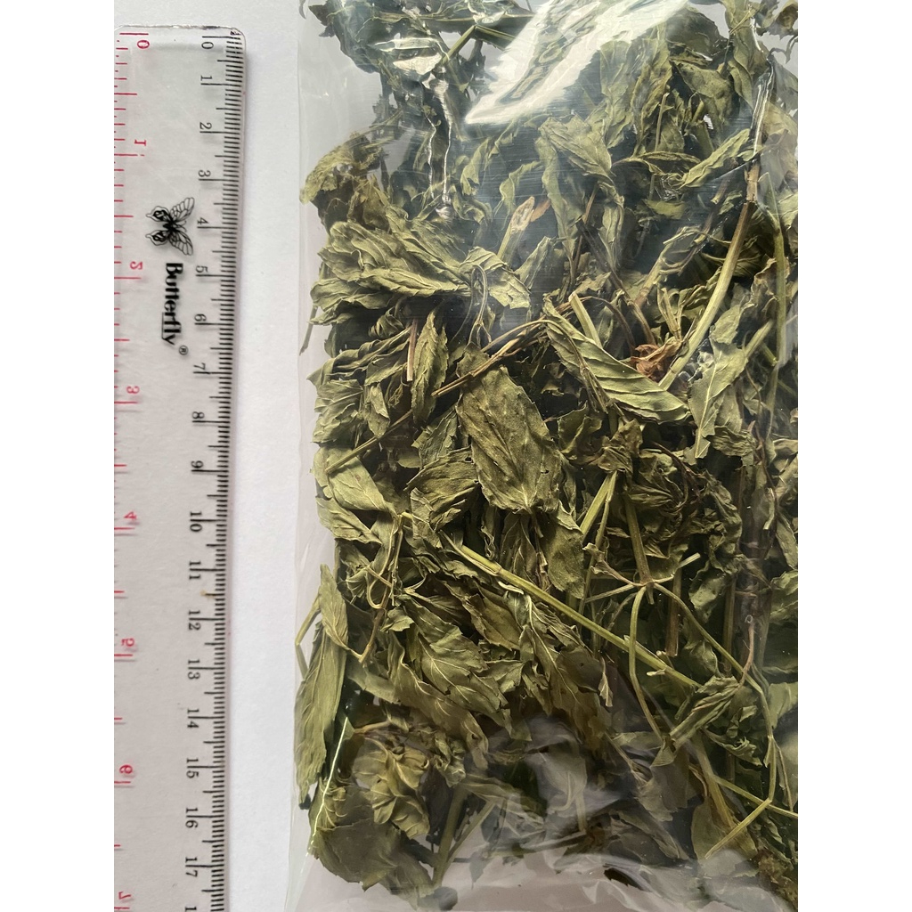 

Daun Mint / Peppermint Leaf / Bo He Ye