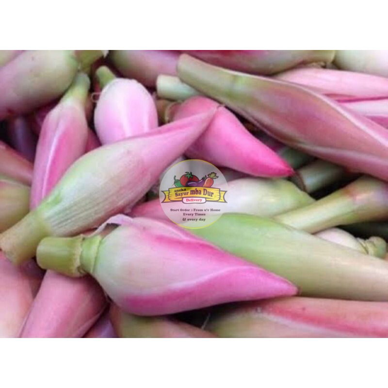 

Sayur Bunga Kecombrang 250Gr