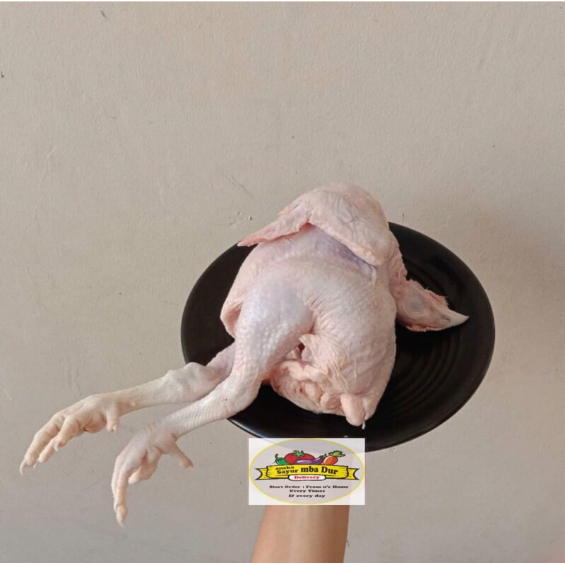 

AYAM UTUH FRESH