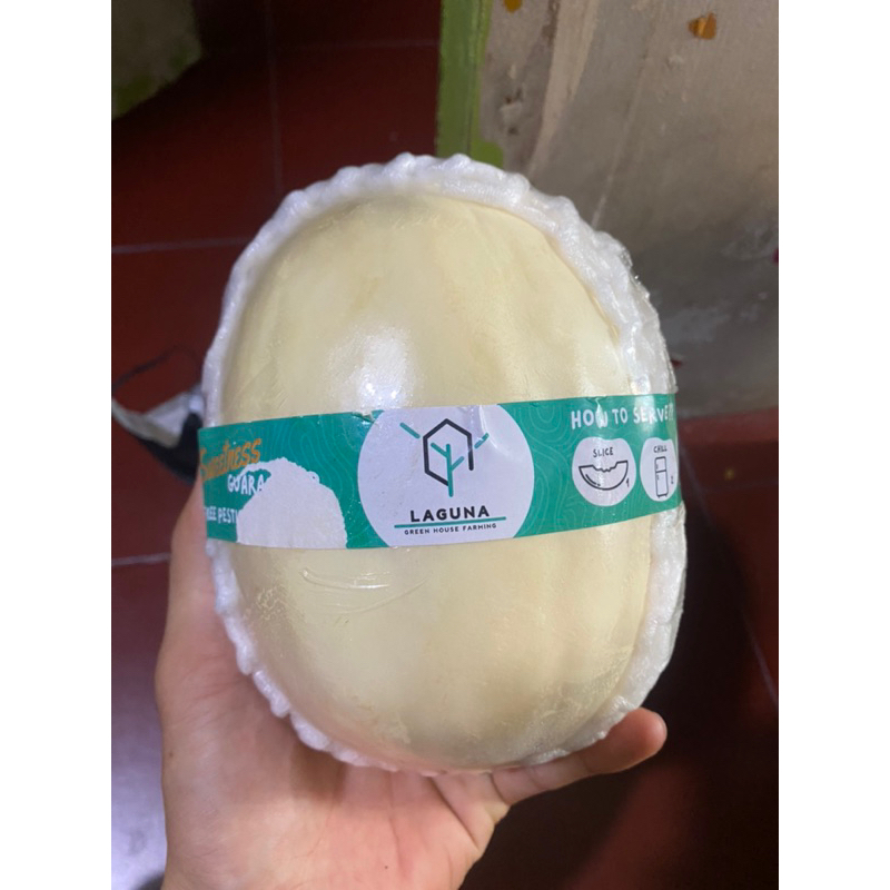 

MELON HONEY WHITE LAGUNA/ BUAH MELON HONEY LAGUNA MANIS 1 KG