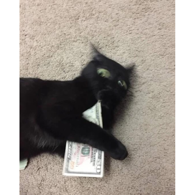 JUAL SECOND COSPLAY STUFF