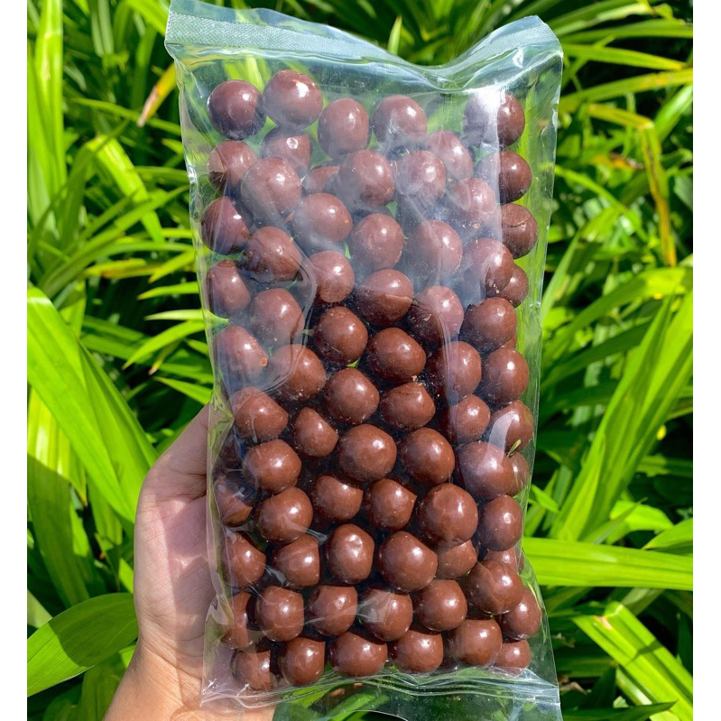 

BISKUIT BOLA COKLAT PREMIUM