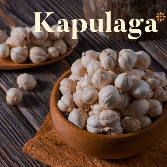 KAPULAGA PUTIH PREMIUM