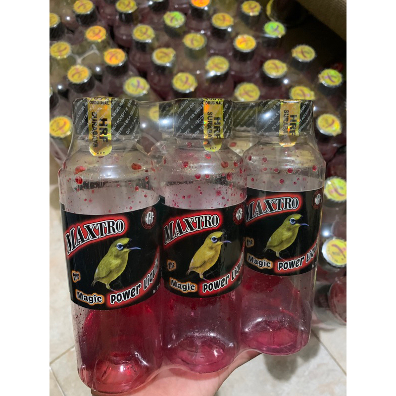 MAXTRO MAGIC POWER LIQUID MINUMAN MULTIVITAMIN PLECI - DOPING BURUNG - DOPING PLECI