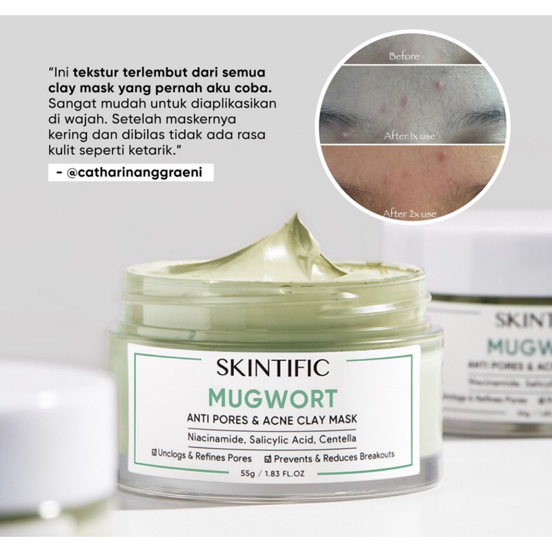 SKINTIFIC MUGWORT ANTI PORES &amp; ACNE CLAY MASK