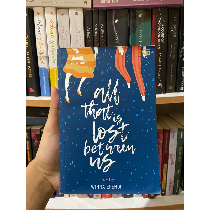 All That Is Lost Between Us - Novel Preloved