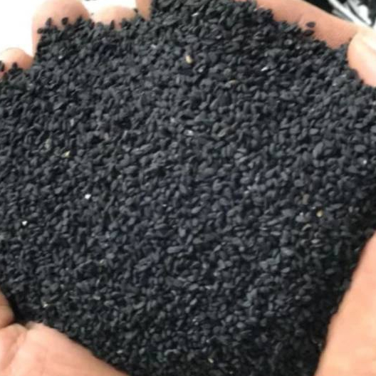 

TERBAIK BIJI JINTAN HITAM LOKAL / NIGELLA SATIVA HERBAL- 250 GRAM