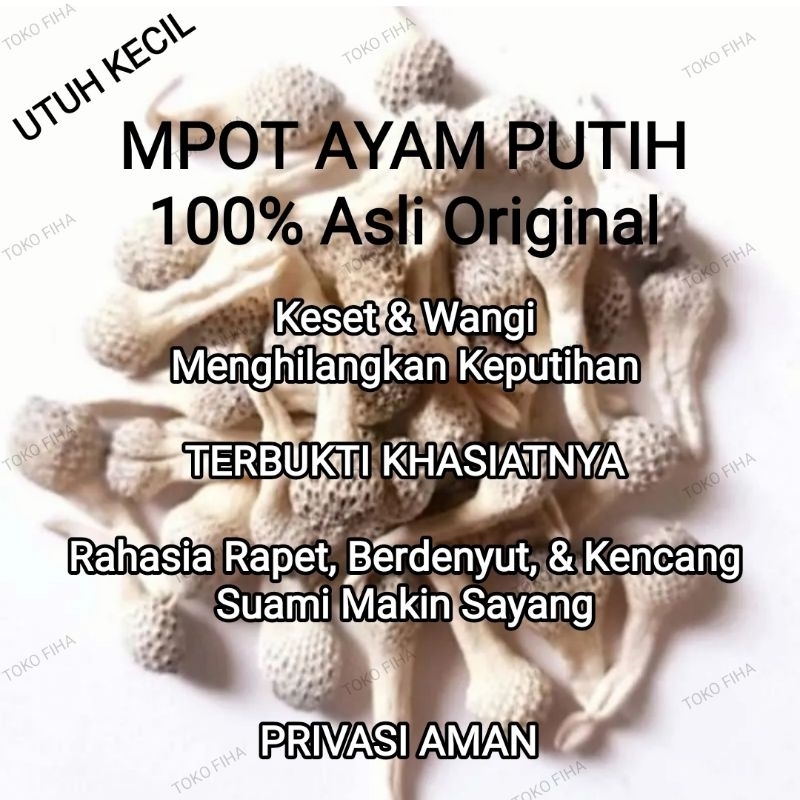 

Per 10 Biji | EMPOT MPOT AYAM PUTIH ORIGINAL | Herbal Kualitas Super - Utuh Kecil