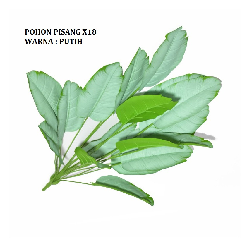 Pohon Pisang Tinggi 1 meter x24 Daun ( TANPA POT )