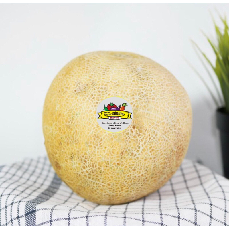

Buah Melon 1 pcs