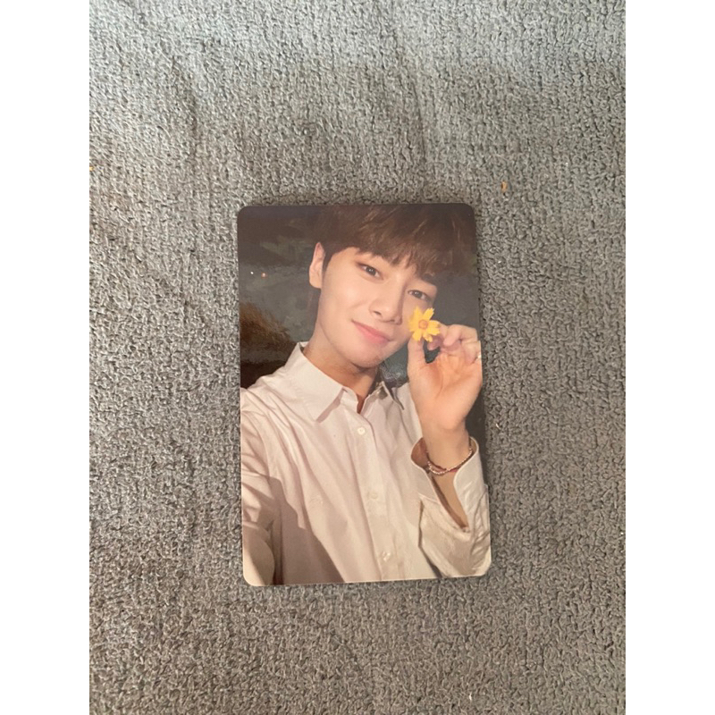 photocard I.N straykids