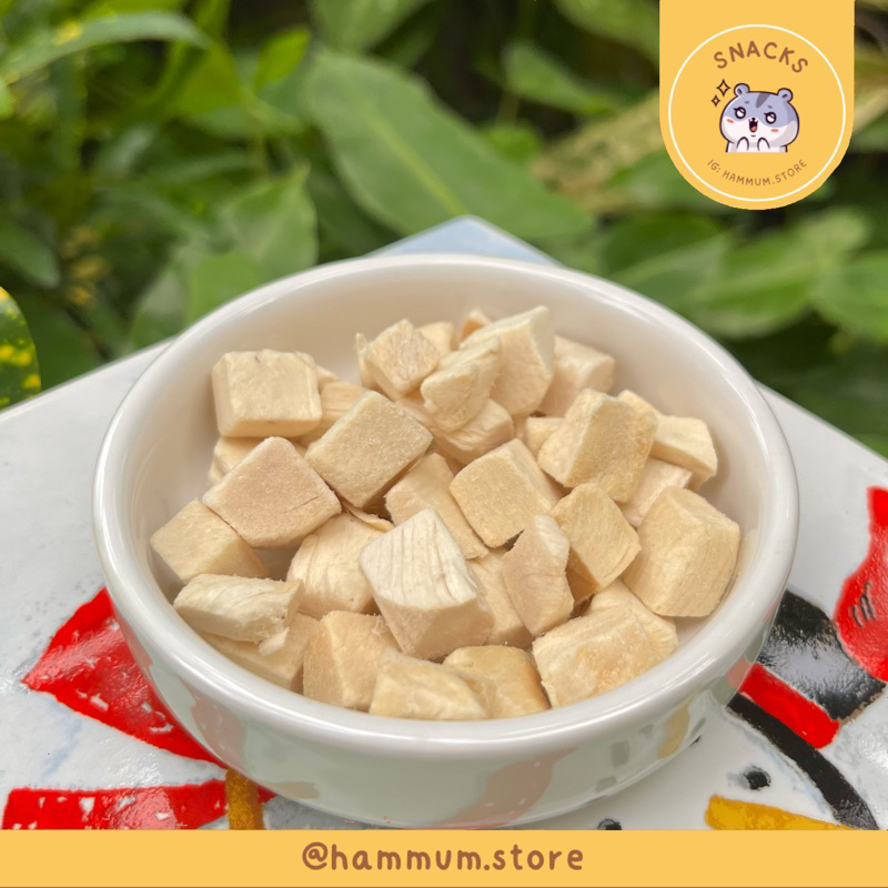 Jual Dried Freeze Chicken Block Hamster Ayam Potong Cemilan Snack