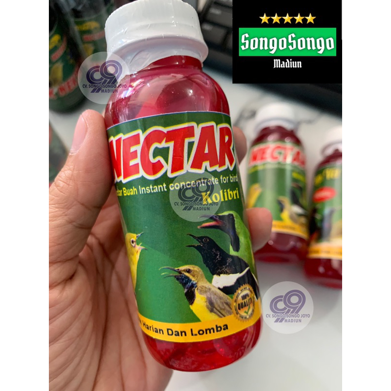 Nektar buah merah nektar buah untuk burung penghisap nektar dan pemakan buah