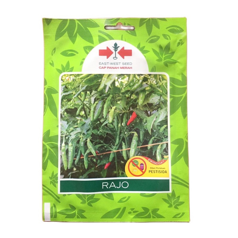 {50 Biji} Benih Cabe Rawit Hijau Rajo Repack