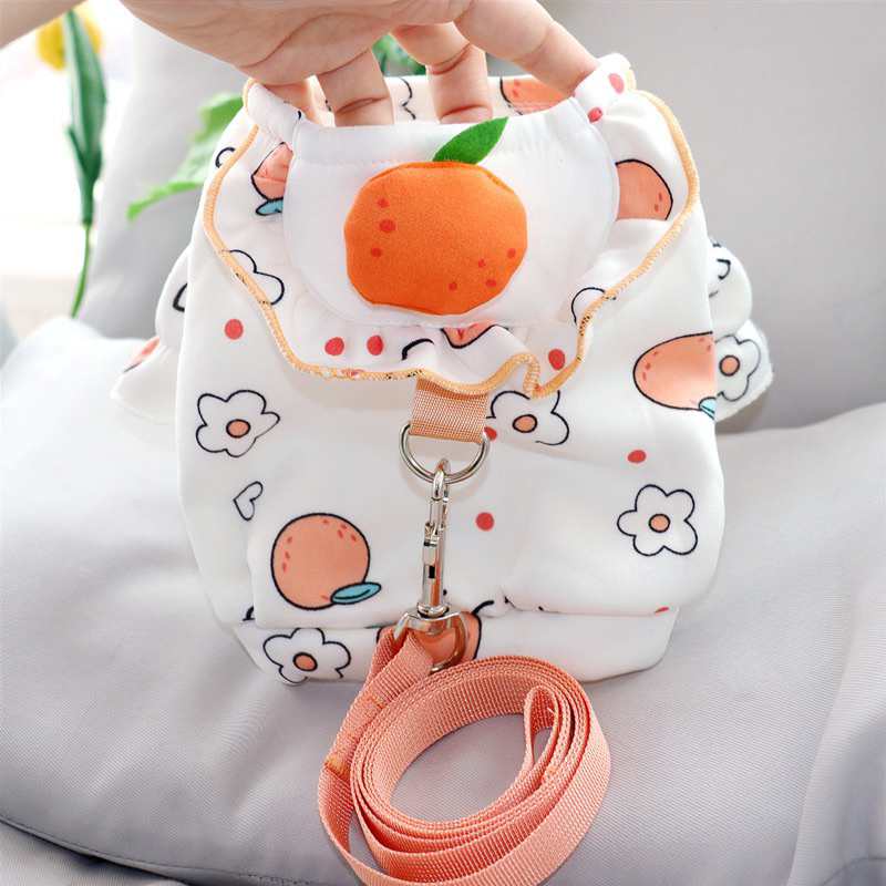 Mallory korea fruit harness set with leash