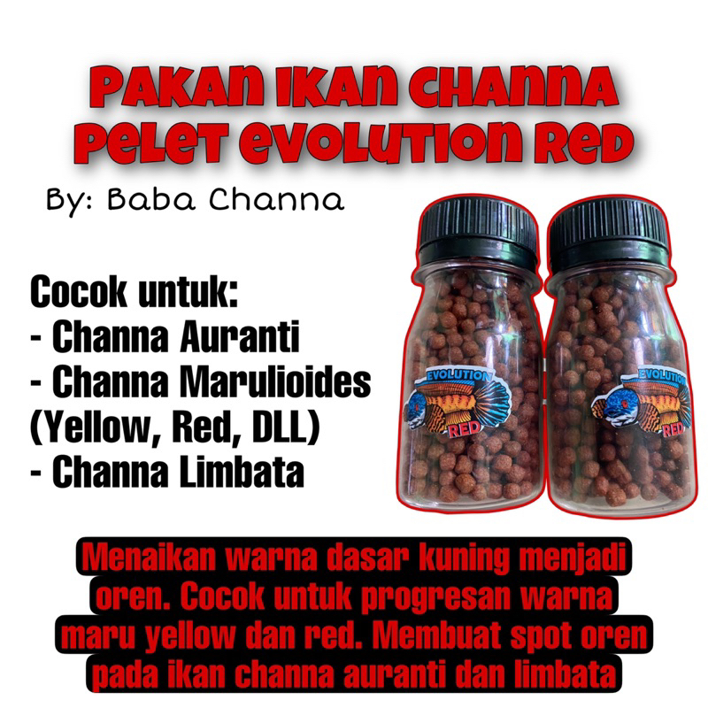 PAKAN IKAN CHANNA EVO RED (BY BABA CHANNA)