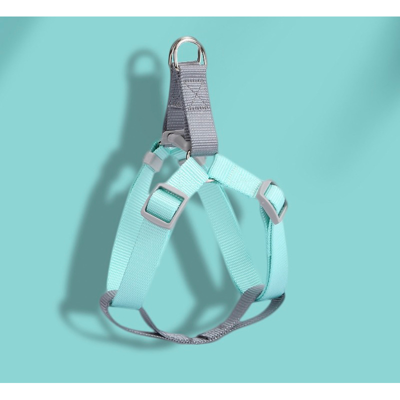 Kiyopet korea pastel H harness set