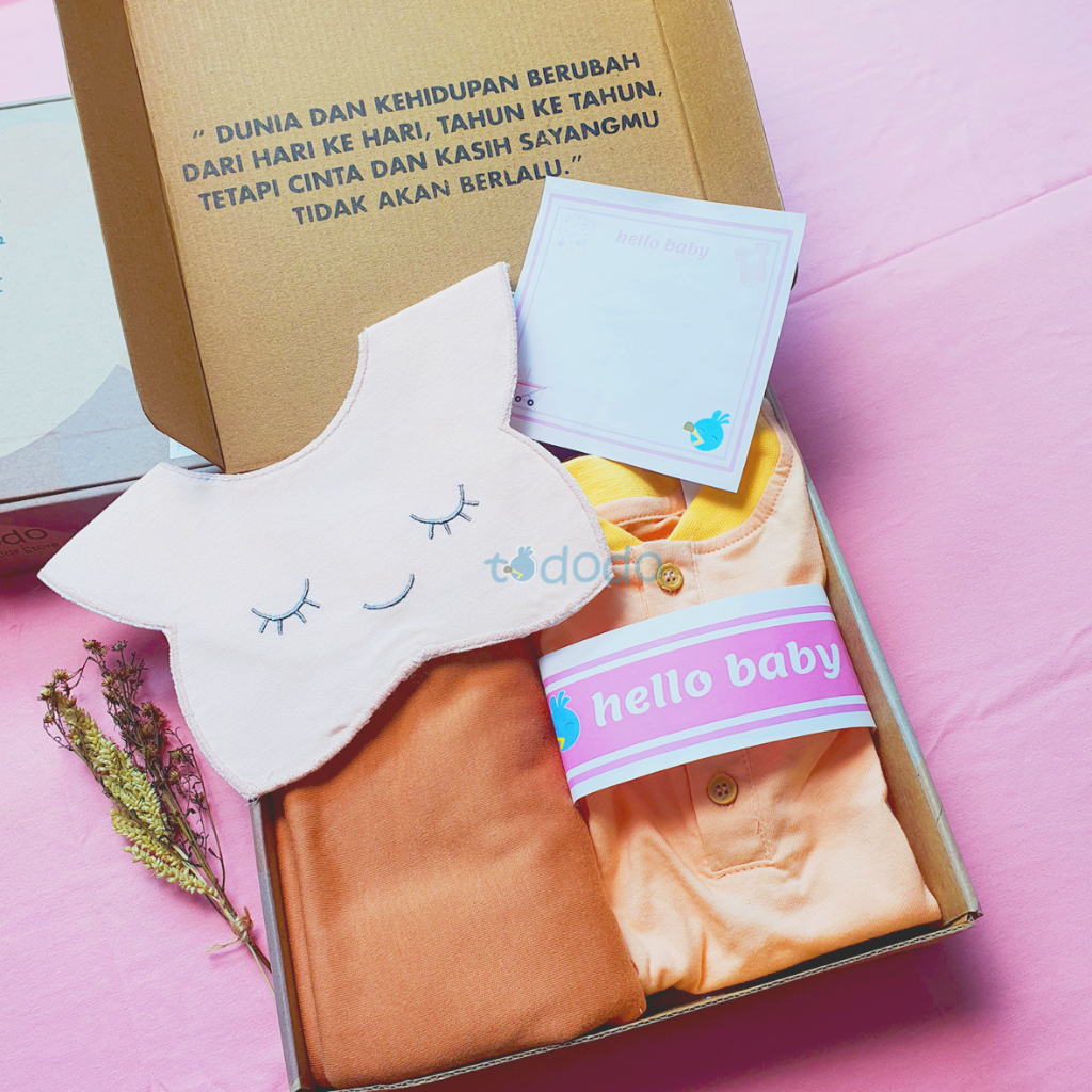 Hampers Bayi Baby Gift Set Tododo Kado Lahiran Parcel Bayi Laki-Laki Perempuan