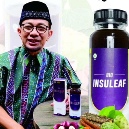 

BIO INSULEAF Solusi Gula Darah Tinggi Diabetes Kencing Manis Original Asli