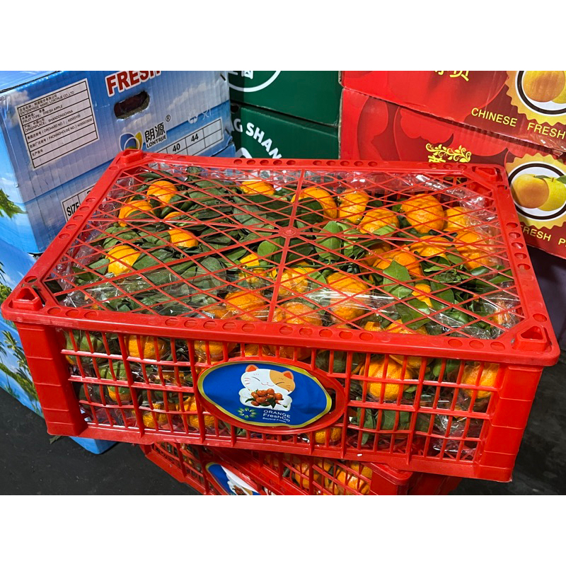 

FreshPAK - Parcel Buah Jeruk Mini Keranjang / Jeruk kecil / Hampers Imlek CNY