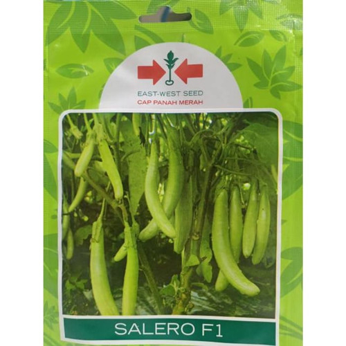 Benih Panah Merah Terong Hijau Salero F1 isi 400 butir / seeds