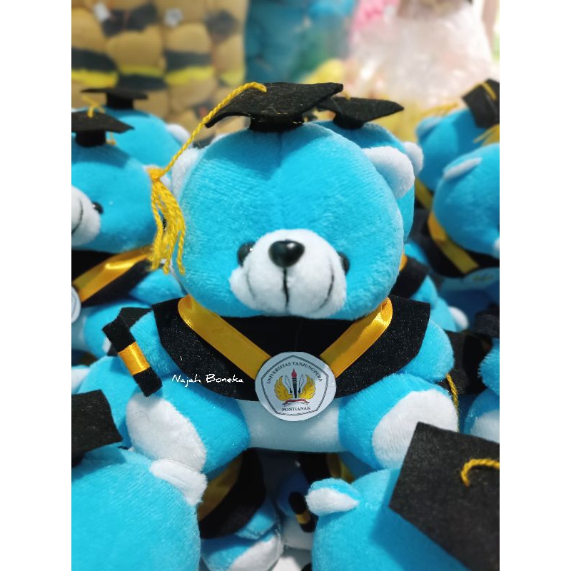 Boneka Wisuda Custom Logo universitas/logo sekolah boneka gemuk dan gemoy bangett