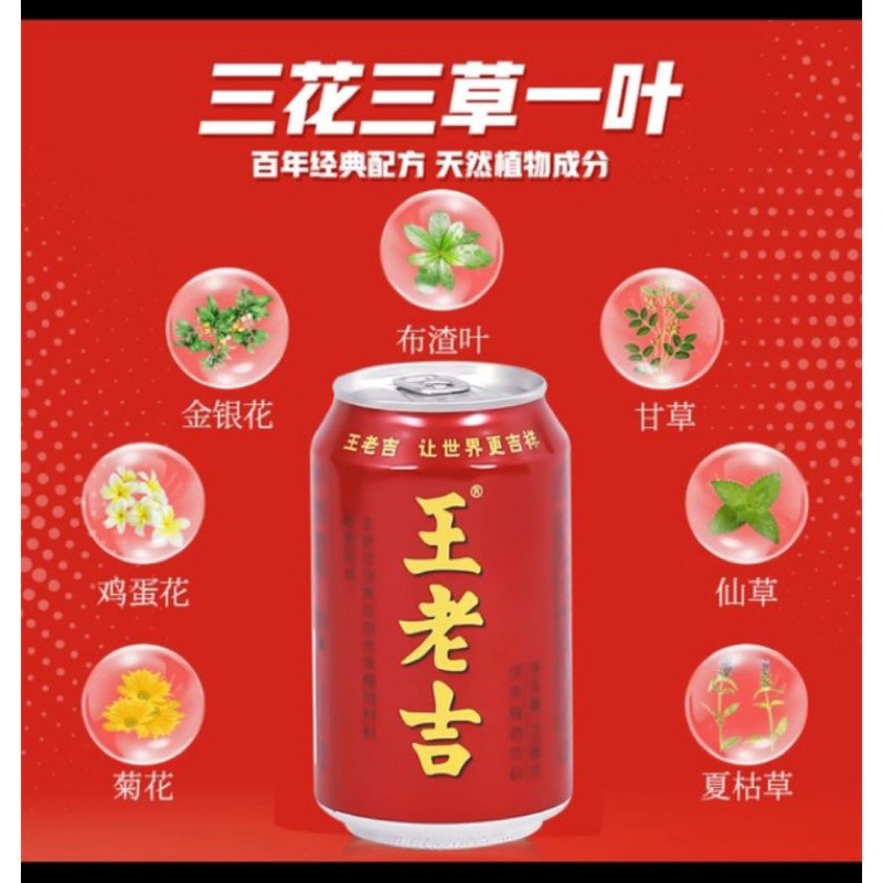 Wang Lao Ji Liang Teh Herbal Chrysanthemum Wong Lo Kat (王老吉凉茶) 310 ml