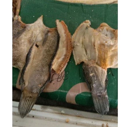 

Ikan asin gabus rawa