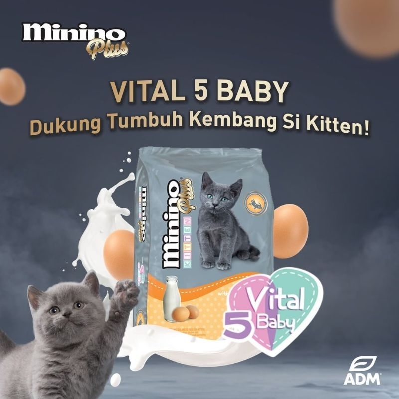 Makanan Kucing Minino Plus Kitten Egg Milk 500gr