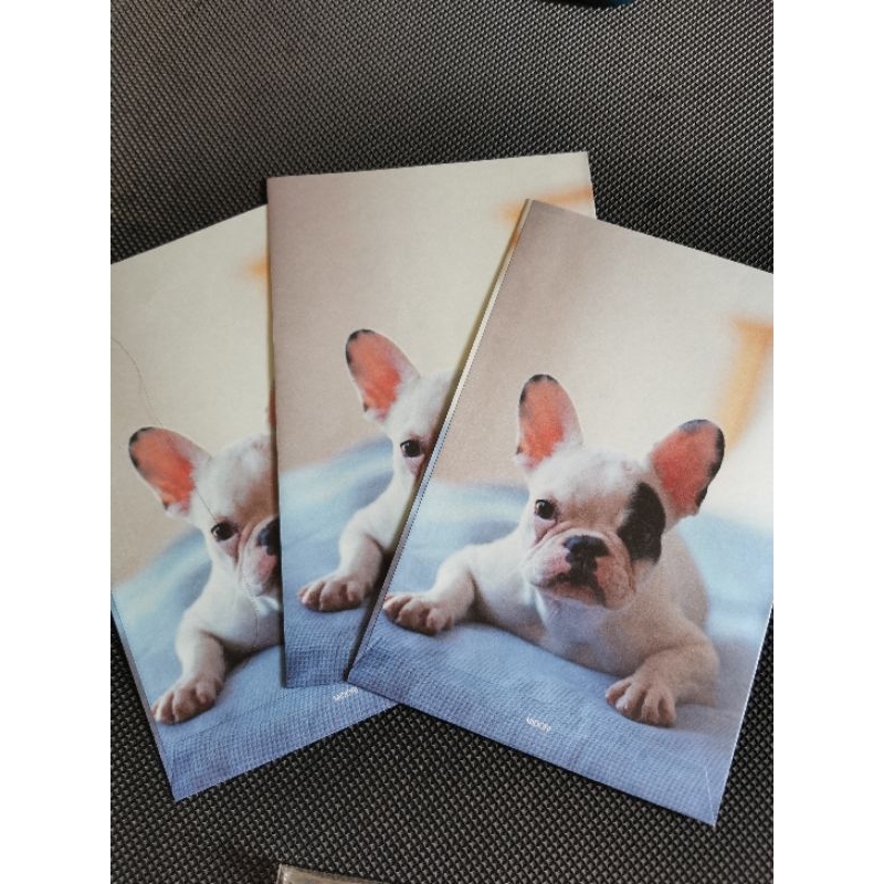 

amplop anjing /dog envelope
