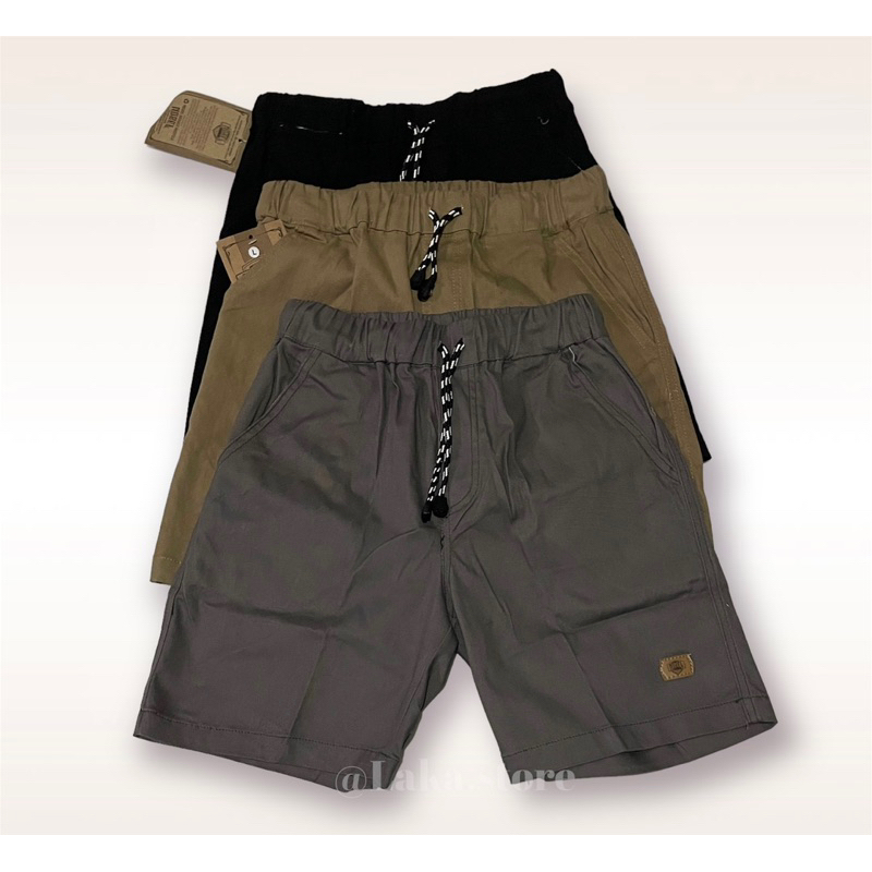 Celana Pendek Boardshort Pria Premium / Boardshort Pants