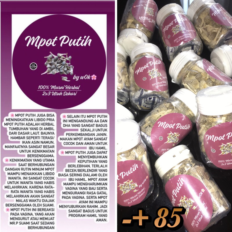 

MPOT AYAM UTUH isi -+ 85 PUTIH ALBINO EXTRA PREMIUM