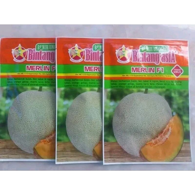 BENIH MELON MERLIN F1 ISI 20 GRAM