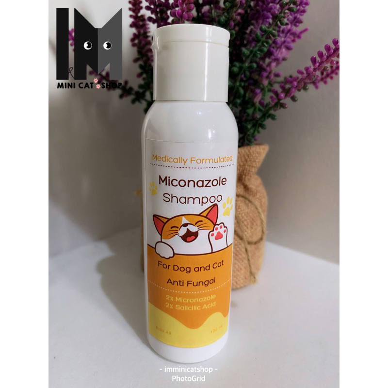 Curated visual reference: Jual Shampoo Kucing Miconazole Anti Fungal Jamur 100Ml Photo Inspiration