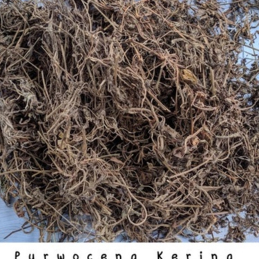TERMURAH PURWACENG/PURWOCENG KERING 100 GRAM